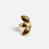 Anello - Ivy